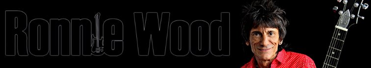 artist banner