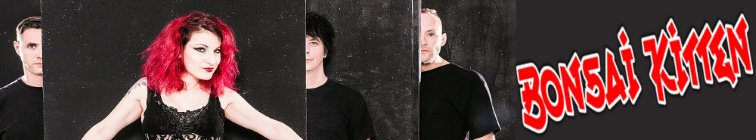 artist banner