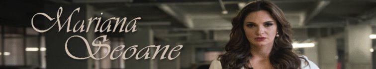 artist banner