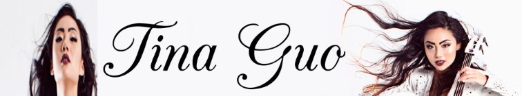 artist banner