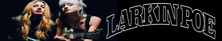 artist banner