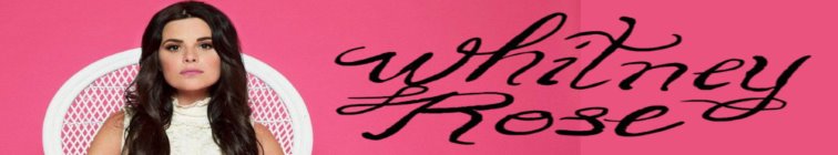 artist banner