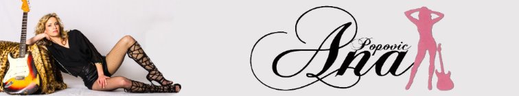 artist banner