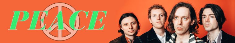 artist banner
