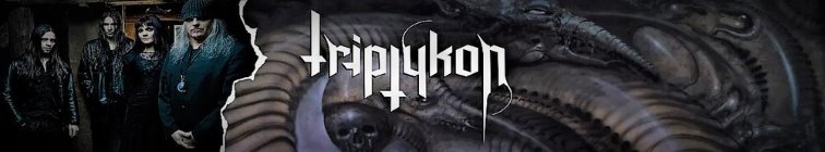 artist banner