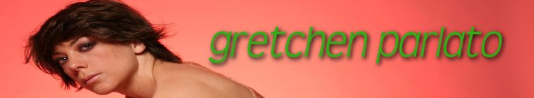 artist banner