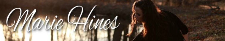artist banner