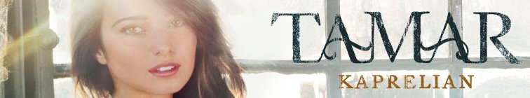 artist banner