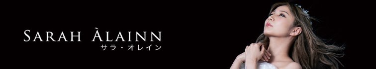 artist banner