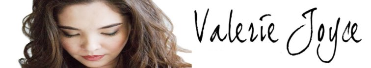 artist banner