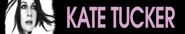 artist banner