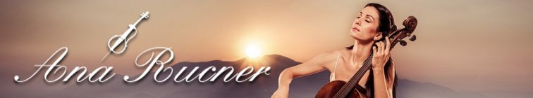 artist banner