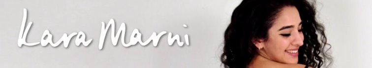 artist banner