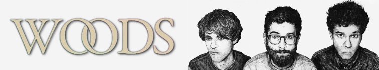 artist banner