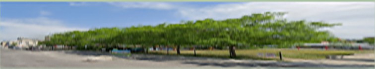 artist banner
