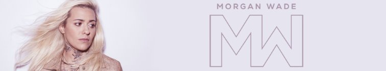 artist banner