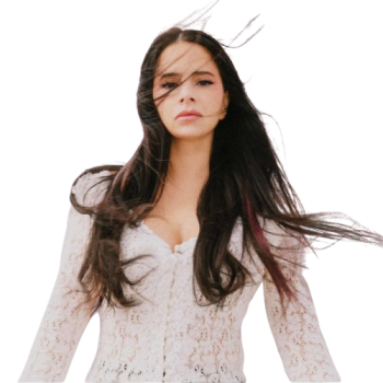 artist cutout