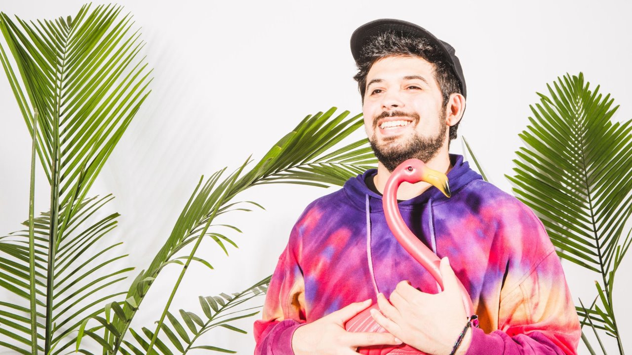 Flamingosis — Photo · promo