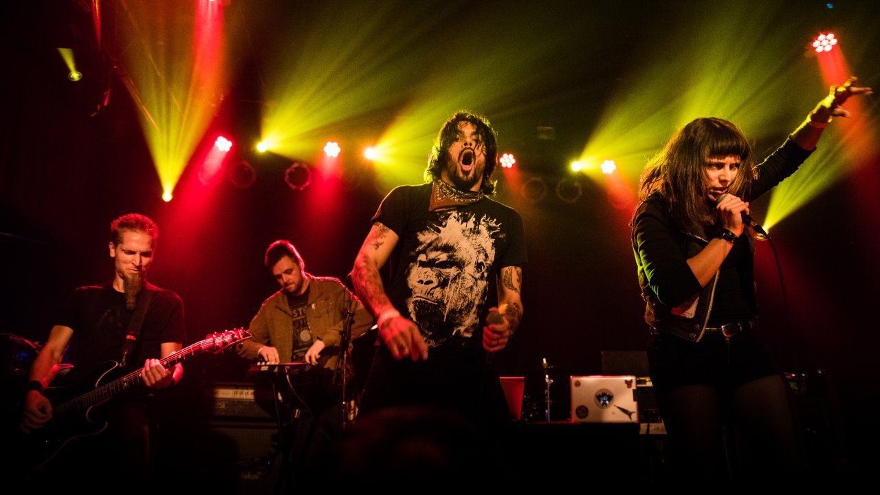 Rabbit Junk — Photo · live_stage