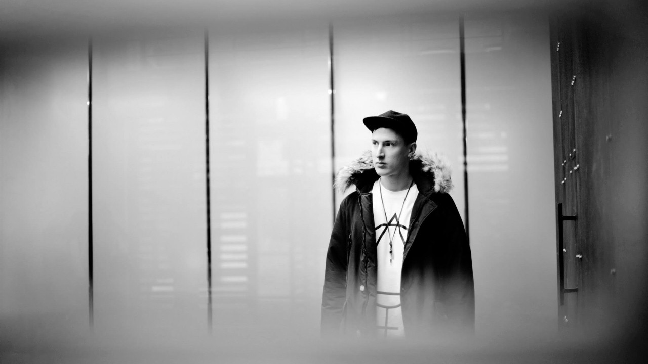 Stray — Photo