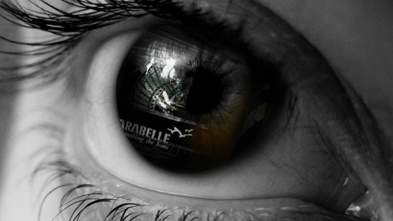 Parabelle — Photo