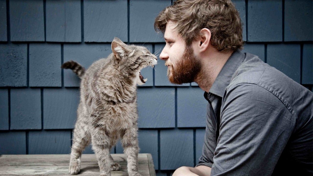 Dan Mangan — Photo