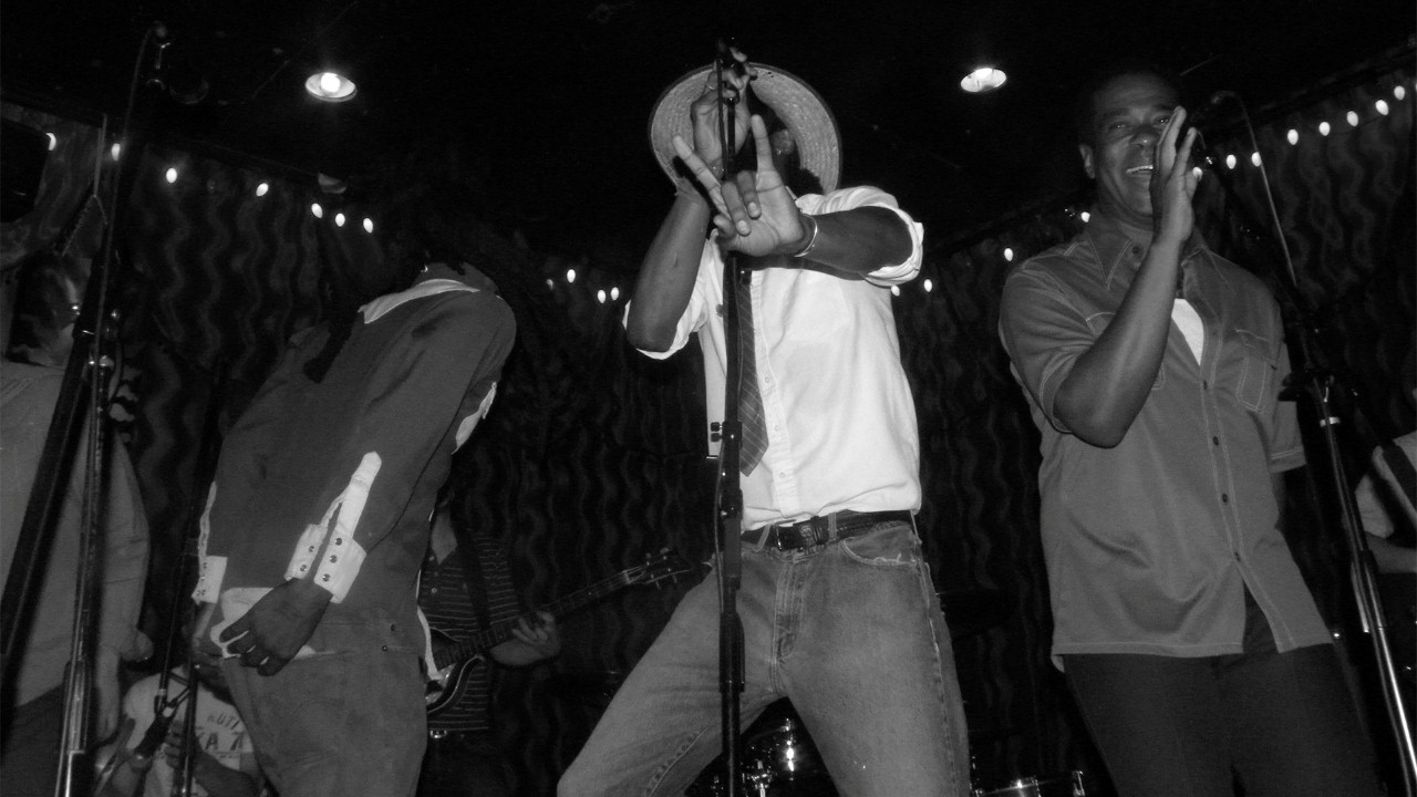 The Lions — Photo