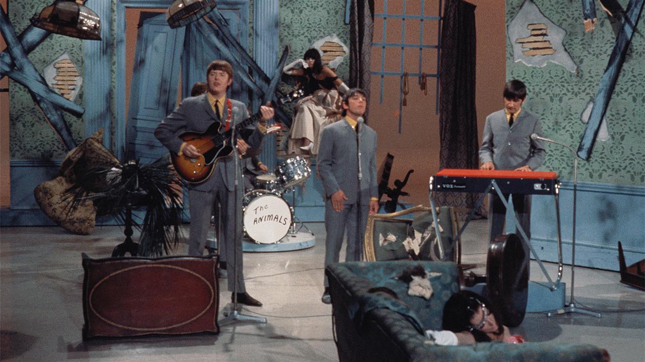 The Animals