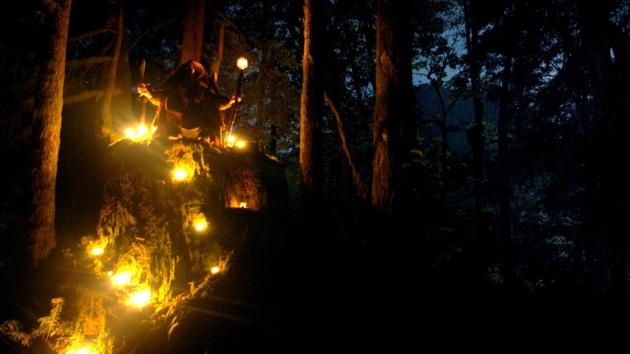 Wolves in the Throne Room — Photo