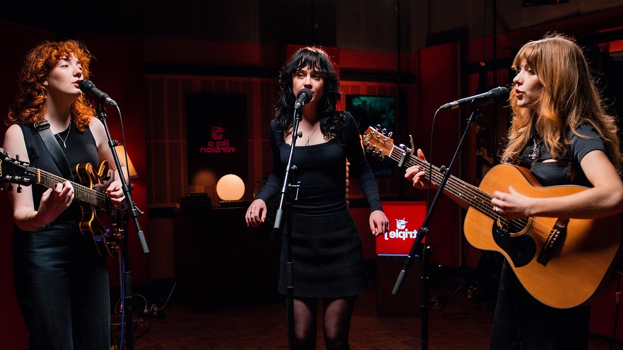Folk Bitch Trio — Photo