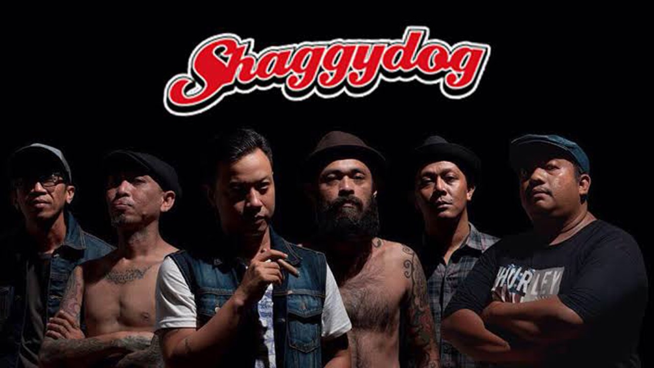 Header Banner Shaggydog