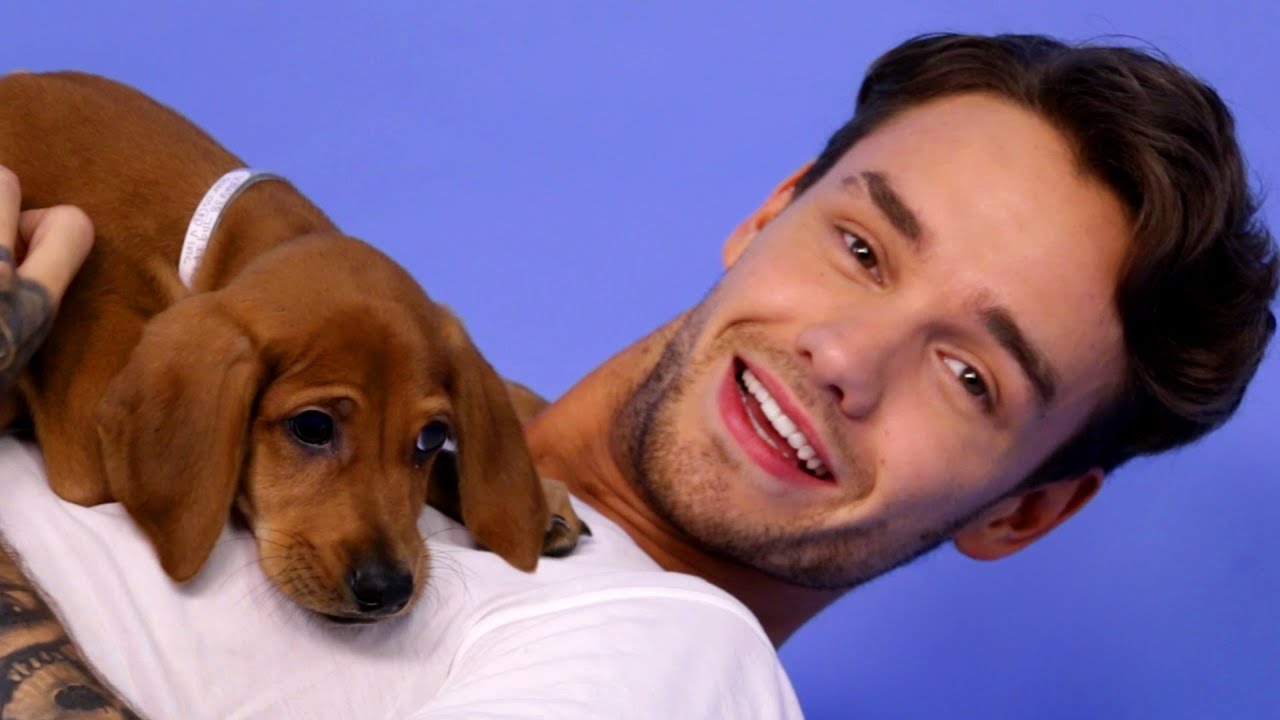 Header Banner Liam Payne