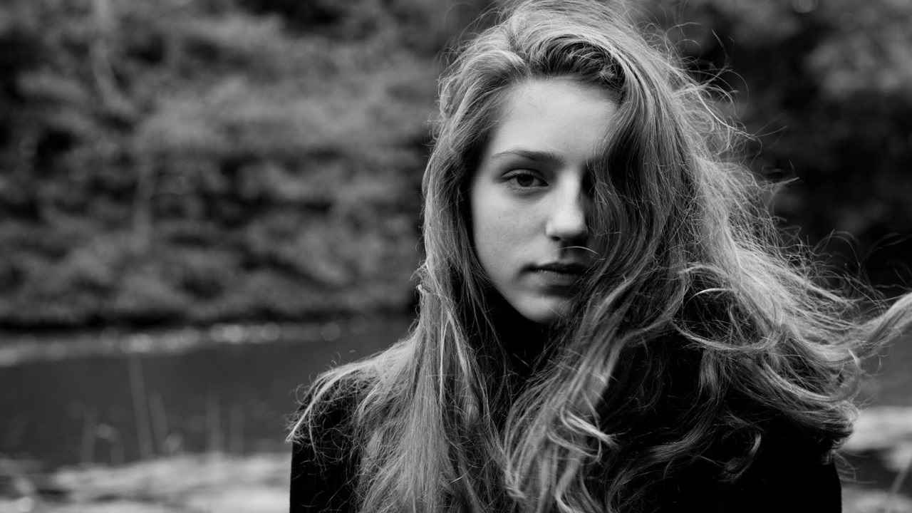 Header Banner Birdy