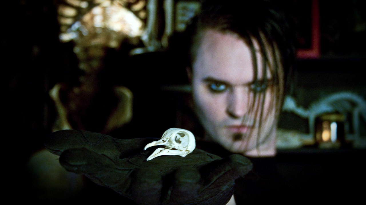 System Syn — Photo