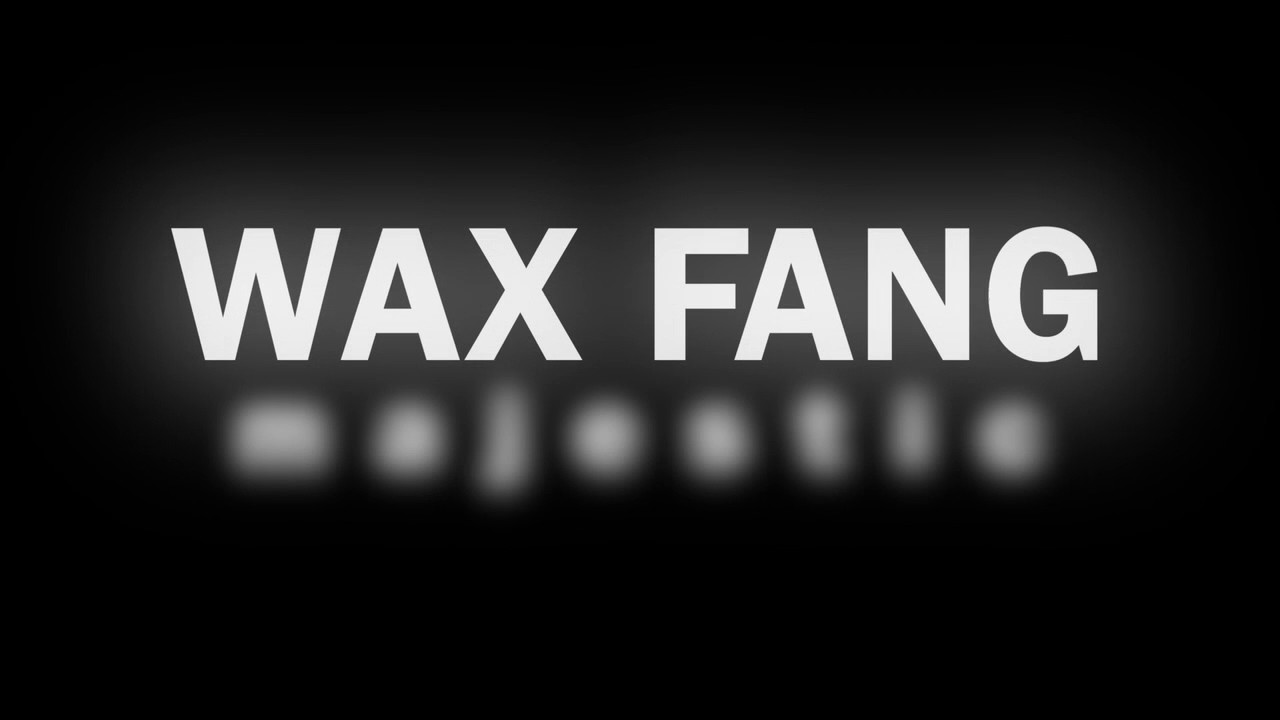 Wax Fang — Photo