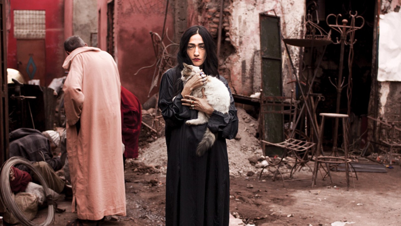 Hindi Zahra — Photo
