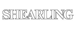 logo preview