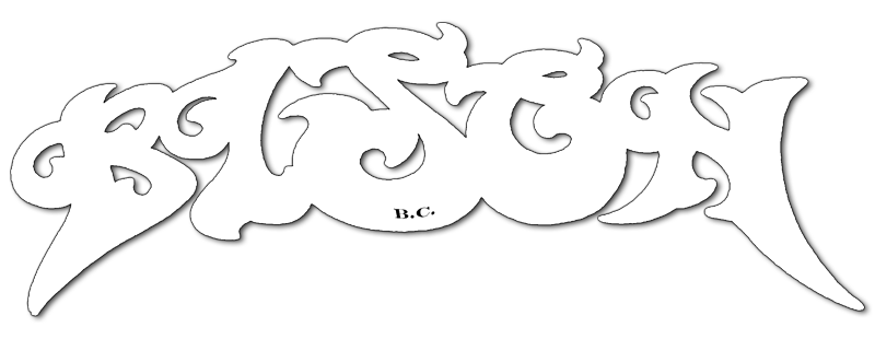 Bison B.C. — Logo