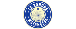 logo preview
