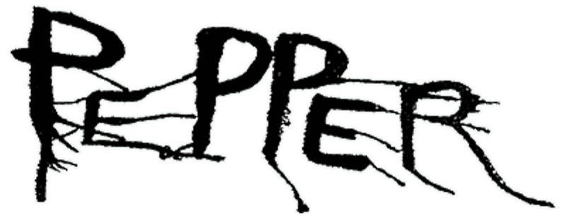 Pepper — Logo