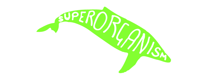 Superorganism — Logo