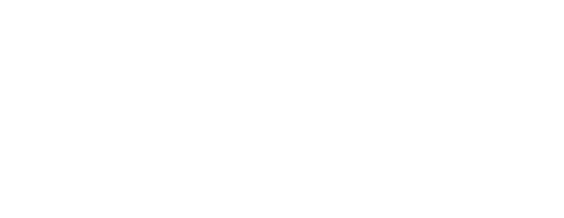 The Vanguard Project logo