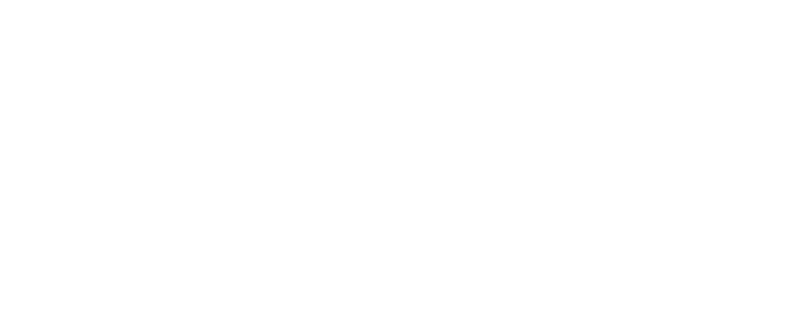 1991 Logo