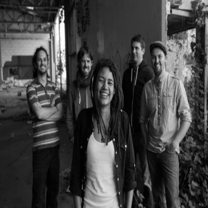 The Sunvizors