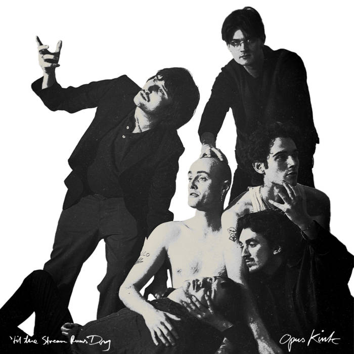 Opus Kink - Alternative artist
