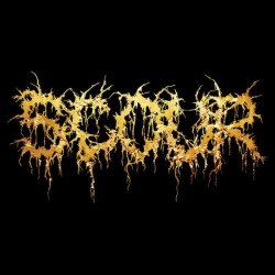 Scour