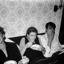 The Verlaines
