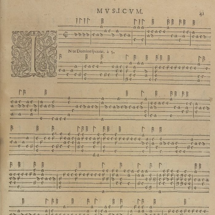 Lupus Hellinck