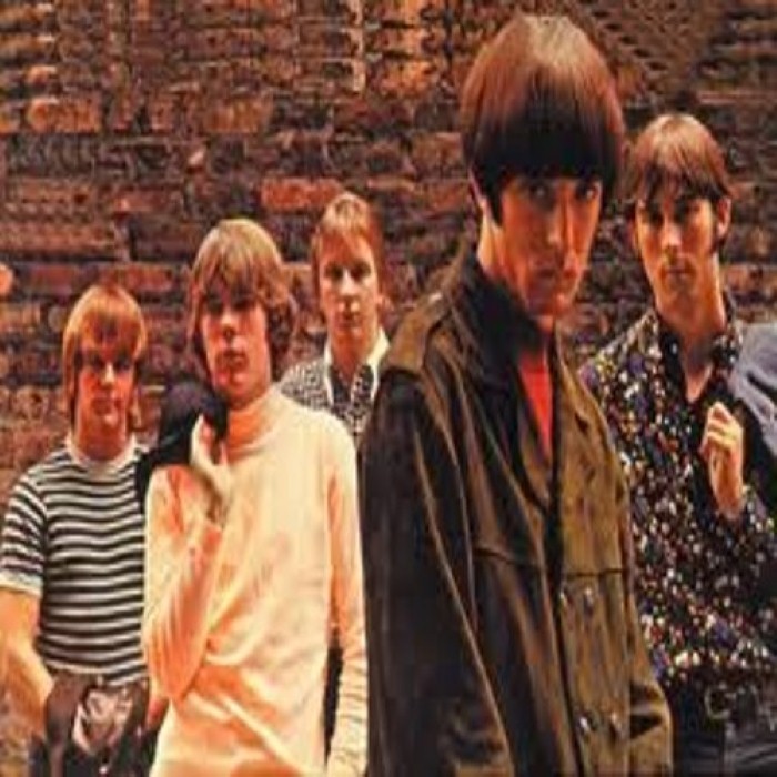 The Shadows of Knight