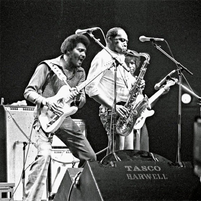 Albert Collins and the Icebreakers
